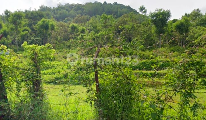 Dijual Tanah Perkebunan di Junrejo Batu Malang Jawa Timur