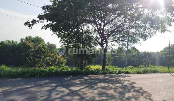Land for Sale in Dawar Blandong Mojokerto, Suitable for Industry