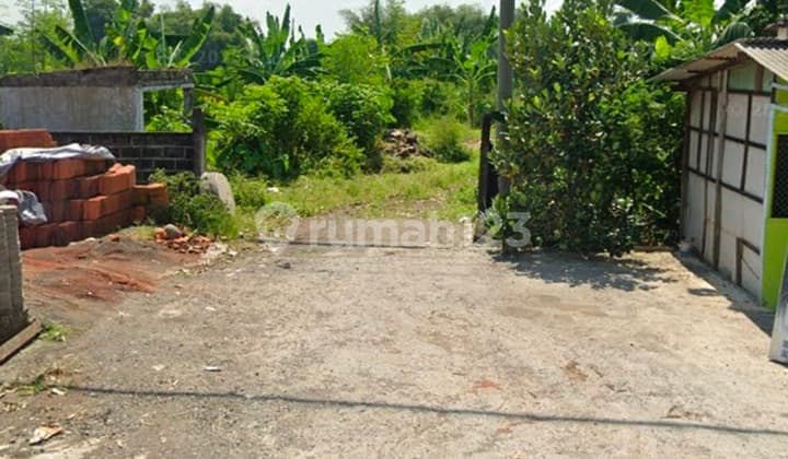 Dijual Tanah Raya Puntir Purwodadi Pasuruan Tanah di 6Qj5, Jl. Raya Puntir", Jl. Raya Puntir, Purwosari, Purwosari, Pasuruan, Jawa Timur, Indonesia, 67162, Purwodadi SHM 130000.0 M²