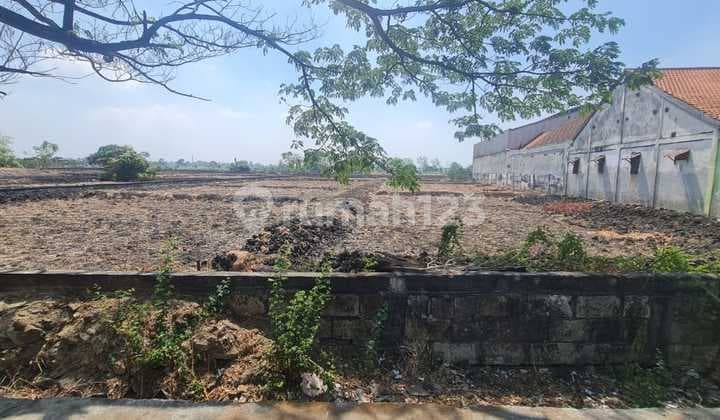 Dijual Tanah Raya Domas Menganti Gresik Tanah di Indomaret Domas, Jl. Raya Domas, Boteng, Menganti, Gresik, Jawa Timur, Indonesia, 61174, Menganti SHM 3.0 Ha