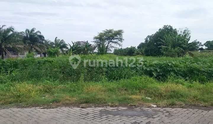 Dijual Tanah Kering di Randegansari Driyorejo Gresik Tanah di Warkop Barongan, Dusun Bunut, Randegansari, Driyorejo, Gresik, Jawa Timur, Indonesia, 61177, Driyorejo Lainnya 4200.0 M²