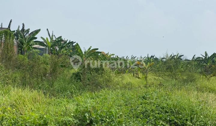 Jual Tanah Murah di Pakal Madya dekat Northwest