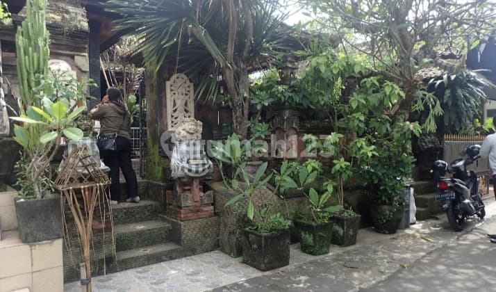 Bali House for Sale Cheap Negotiable Until Deal