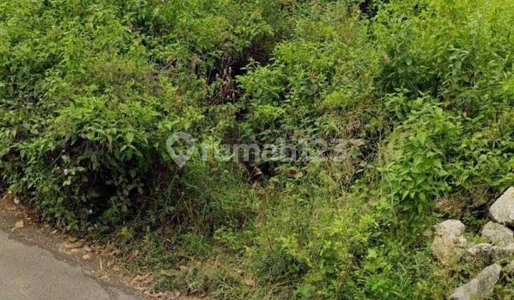 Land in Kutuh Jimbaran 5.5 Are, Bread and Butter Cut