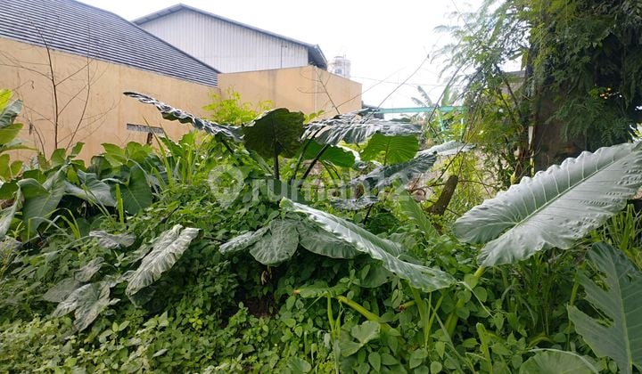 Tanah Kavling di Bumi Puspitek Asri Pagedangan