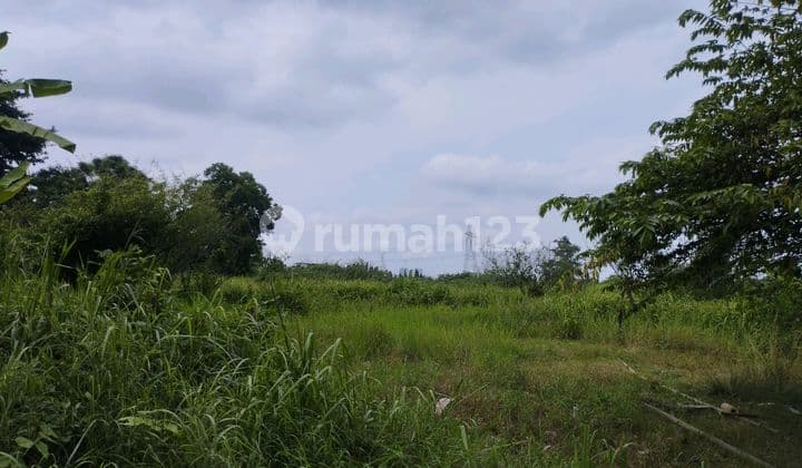 Tanah Murah di Jalan Diklat Pemda Tangerang