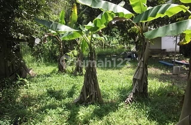 Tanah Murah di Cikalong Tasikmalaya