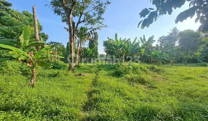 Cheap Land in Bogor Land