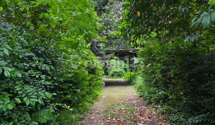 For Sale 3268M Land with 20 Room Rentals in Pondok Jaya, Tangsel