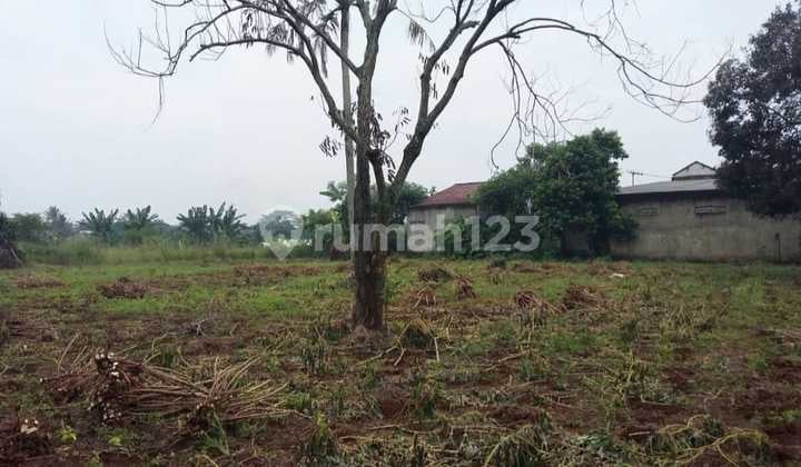 Tanah Luas 9400M2 Hadap Jalan Besar Lokasi Belakang Pasar Parung