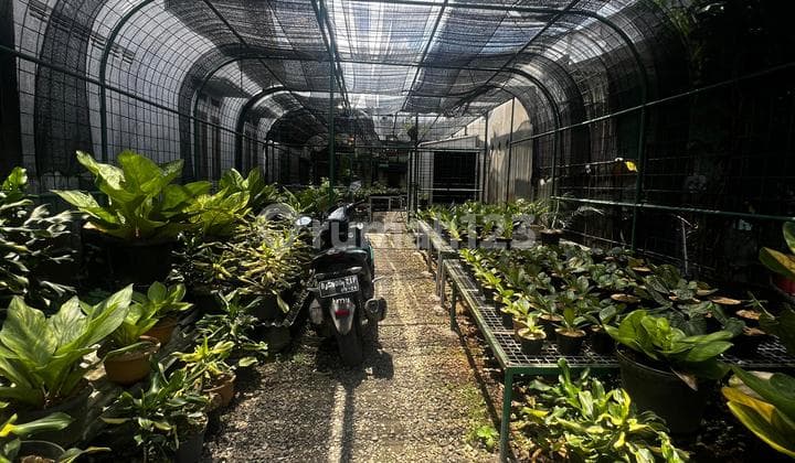 Tanah Kebun Tanaman Viral - Keliling Dipagar Besi Sangat Aman