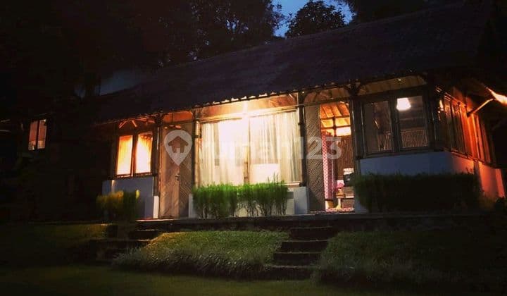 Dijual Tanah di Kaki Gunung Cocok untuk Camping Ground