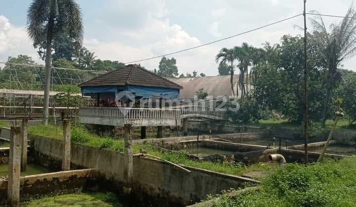 Tanah Luas ada Kolam Ikan dan Bangunan Bebas Banjir Lingkungan Asri di Parung Bogor