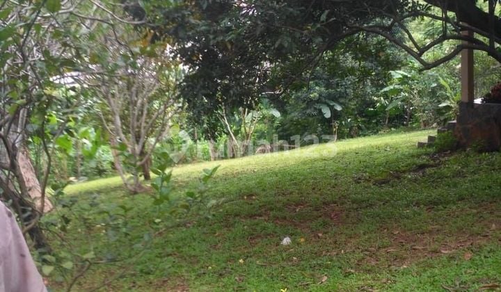 Land for Sale Below NJOP – Strategic Location in Andara, Depok