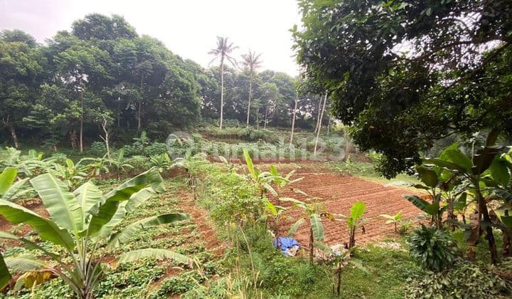 Jual Tanah Produktif Di Jl.alternatif Sukabumi