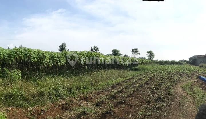 DIJUAL TANAH BEBAS BANJIR LUAS DI DESA KRIKIL, BOGOR