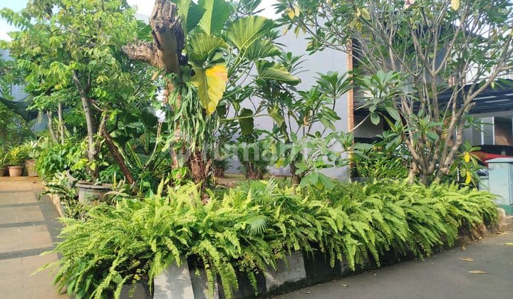 Jarang Ada Kavling Puri Botanical