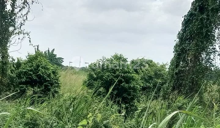 LAND FOR SALE IN THE MOROWUDI AREA, CERME, GRESIK