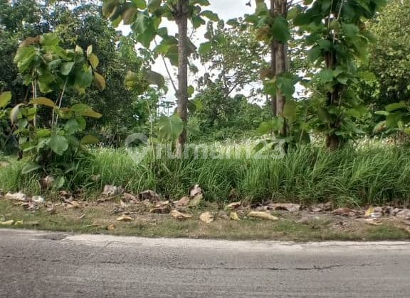 Dijual Tanah di Dawar Blandong Mojokerto