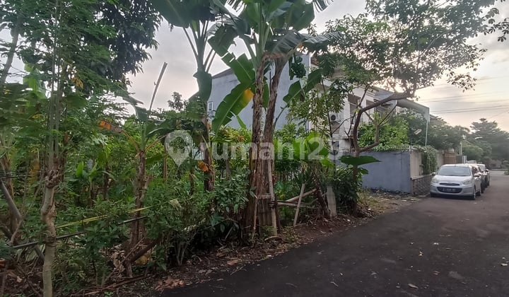 Tanah Murah Dibawah Njop Dekat Pajajaran Di Indraprasta Bogor