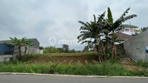 Tanah Strategis Pinggir Jalan Raya Cibuntu, Ciampea, Bogor