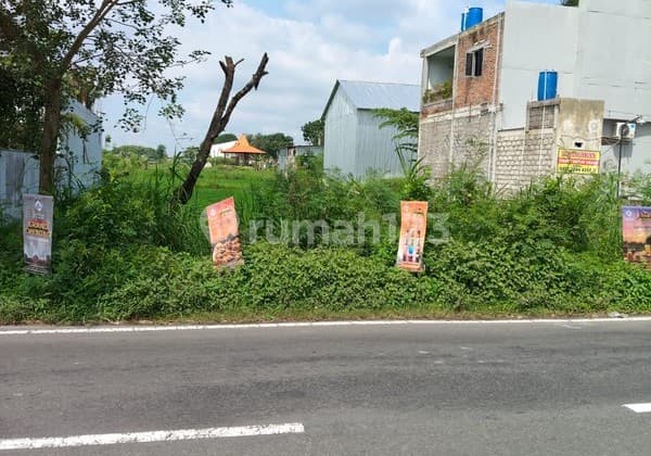 Disewakan Tanah Strategis Area Wisata Dekat Candi Plaosan, Bugisan, Prambanan, Klaten