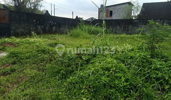 Tanah 2335 Meter Persegi Di Jalan Palagan Cocok Untuk Mini Cluster