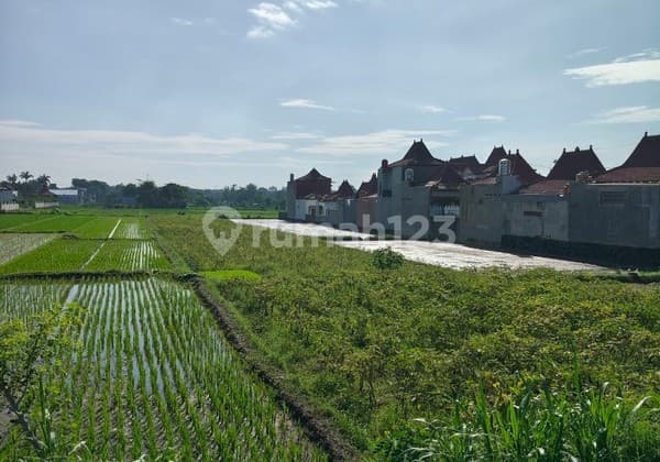 Dijual/Disewakan Tanah Strategis 2.020 Meter Persegi 2 Muka, Cocok untuk Perumahan & Resto di Prambanan, Klaten