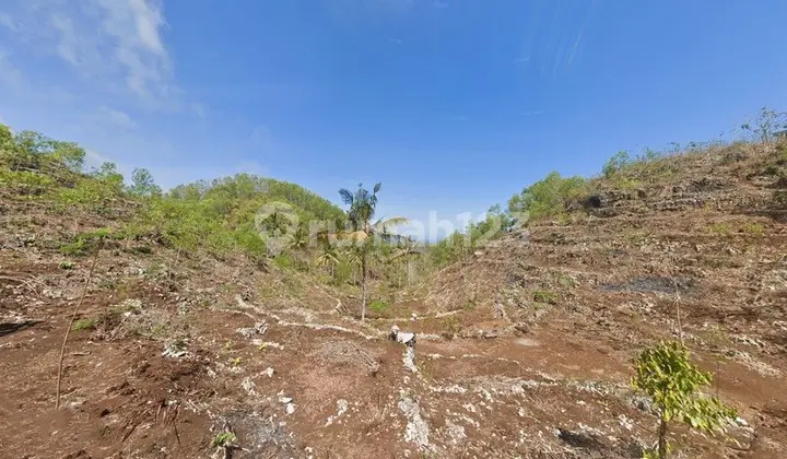 Dijual Tanah Luas 32.420 Meter Persegi Lokasi Dekat Pantai Butuh, Saptosari, Gunung Kidul