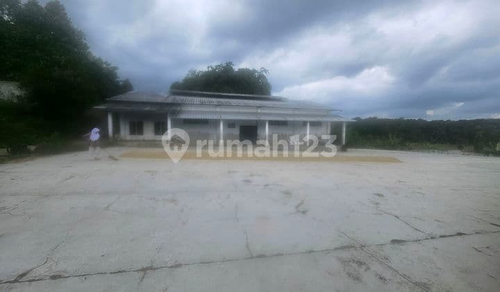 Tanah Produktif Daerah Cianjur Kota