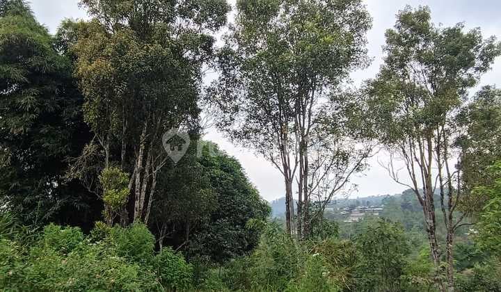 Tanah Bagus Lokasi Strategis Cocok untuk Healing Sukorejo, Kendal