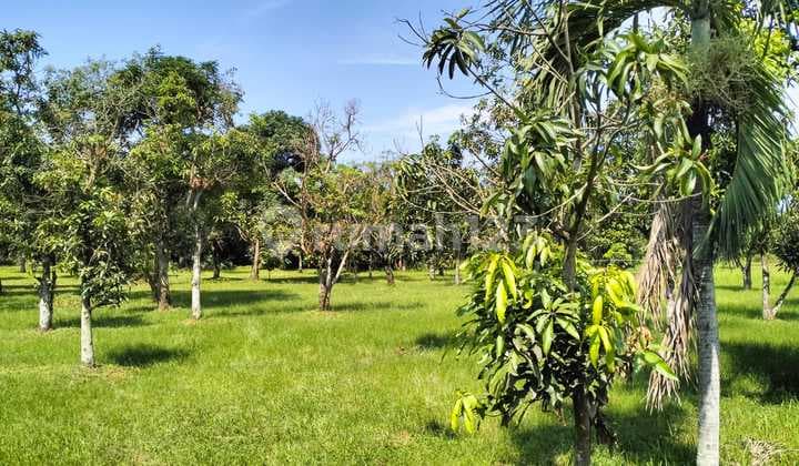 Dijual Kavling Bagus Di Tanggerang