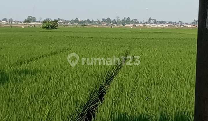 TANAH bagus untuk PERUMAHAN