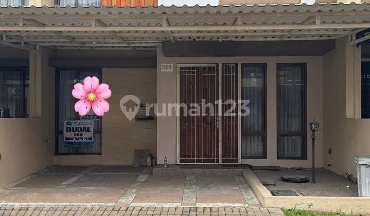 One Unit Pinetree for Sale