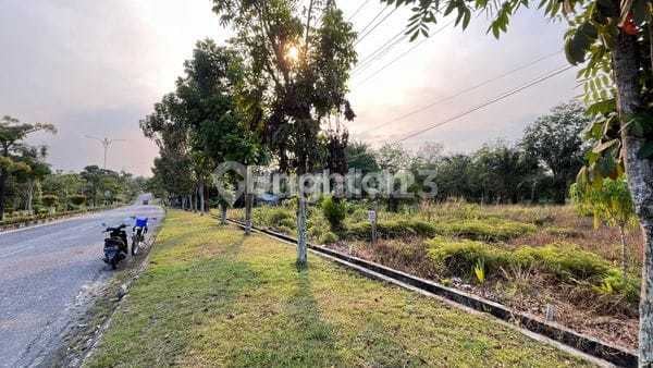 Dijual Tanah Luas 5000m2, Lokasi Strategis Area Bangking,jalan Aspal,lahan Siap Bangun Untuk Ruko,perumaha ,usaha,mimi Soccer Dll,dekat Kekantor Bupati Kampar