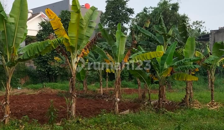 Dijual Cepat Tanah Hoek Bintaro Dkt Tol/Rspi/Global Jaya/Fm