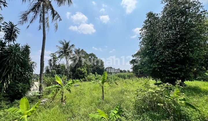 Dijual Cepat Tanah Kavling di Kampung Kandang Duren Seribu , Bojong Sari Depok Jawa Barat