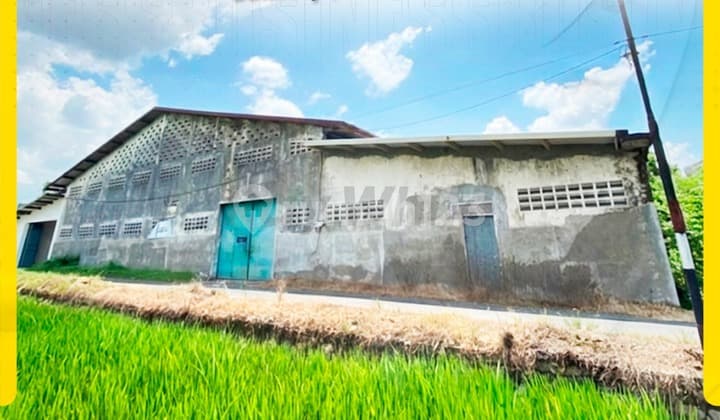 Gudang 1500Meter Siap Pakai di Bulakrejo Sukoharjo Solo