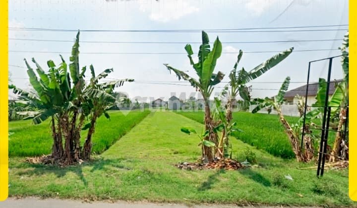 Tanah 1100M Siap Bangun Strategis Tepi Jl Utama Sapen Mojolaban