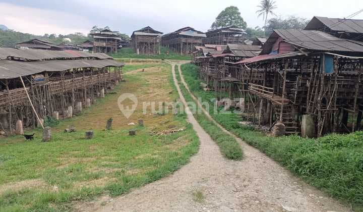 Pternakan, S H M=7 Ha; Ajb=0,8 Ha; Telur=6.7ton/hr; Ayam=210.000