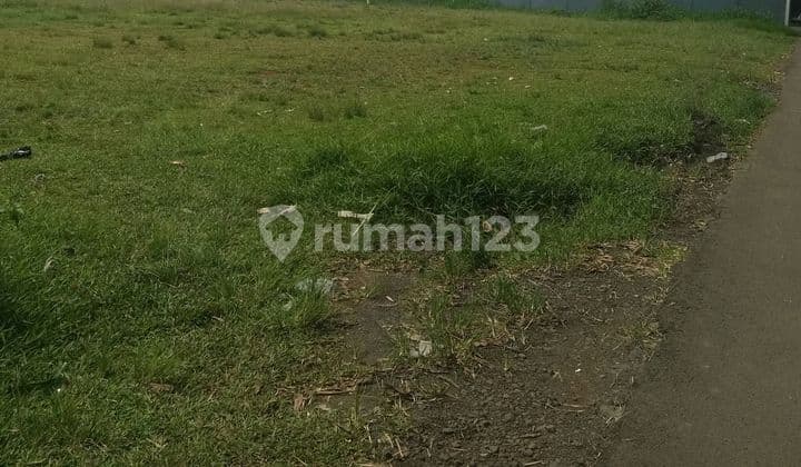 Tanah Datar Belakang Pajajaran Bogor Murah SHM AJB I Am The Only One Entrusted With This Responsibility.