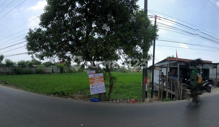 Tanah Murah di Jl Pasar Bojong Lama Taruma, Kampung Karatan, Desa Segarajaya, Tarumajaya ,Kab Bekasi, Jawa Barat