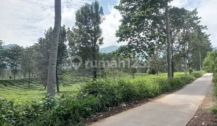 Dijual Tanah daerah Puncak, cocok utk di usaha/bangun Villa