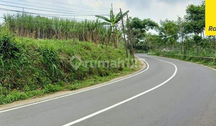 Dijual Tanah di Sawiran Dawuhan Sengon Nongkojajar Pasuruan