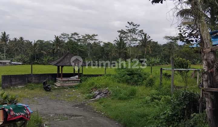 Tanah, dekat Cau Chocolate, Tabanan