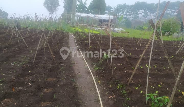For Sale Fertile Land in Cisarua Parongpong, West Bandung Regency