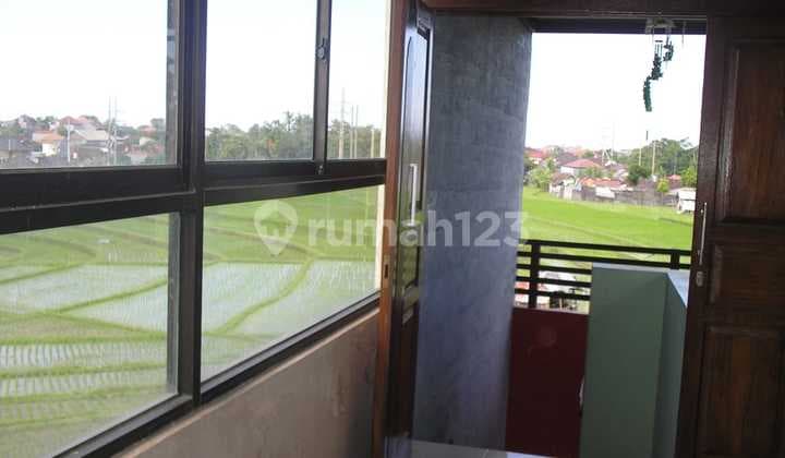 Minimalist House for Rent, Ready to Occupy in Kerobokan