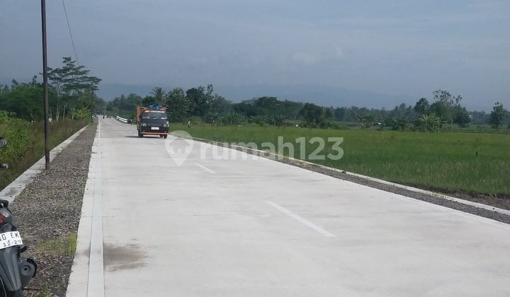 Sawah Cocok untuk Usaha