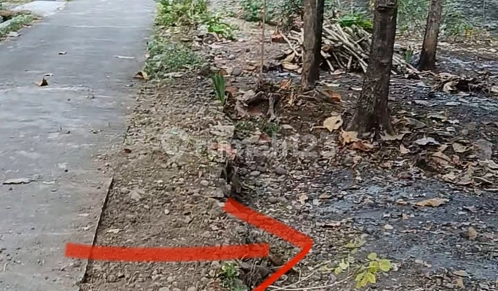 Kavling Sedayu Bagus dengan Lokasi Asri dan Nyaman