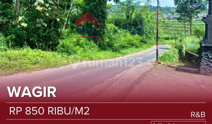 Dijual Tanah SHM di Daerah Wagir Malang Cocok untuk Investasi, Kos-Kosan